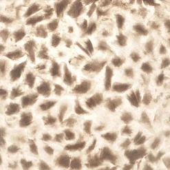 Straluma 2-Lichts schelpen wandlamp met snoer><noscript><img width=