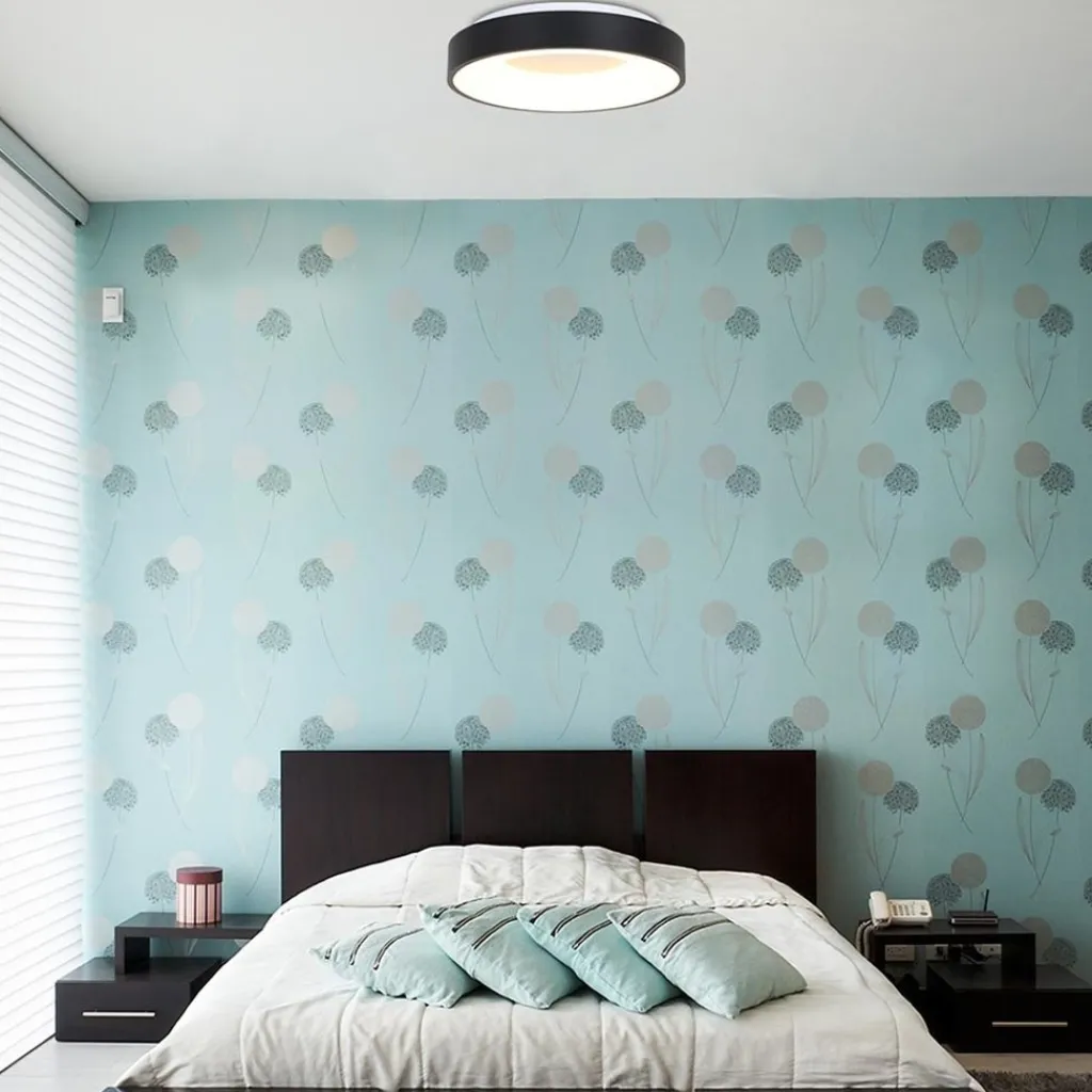Straluma Plafondlamp Ringlede zwart> Plafondlampen|Plafonnières