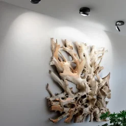 Straluma Plafondspot Nautilus zwart><noscript><img width=