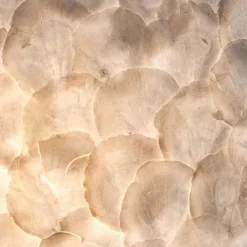 Straluma Romantische schelpen wandlamp ivoor></noscript> Schelpenlampen|Woonkamerlampen