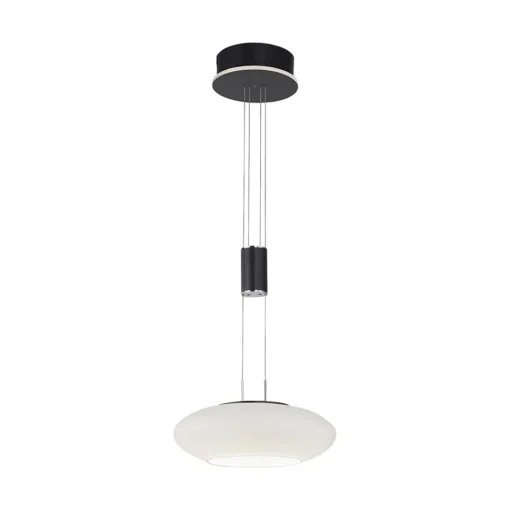 Straluma Smart hanglamp mat zwart met opaal glazen kap> Hanglampen|Smart lampen