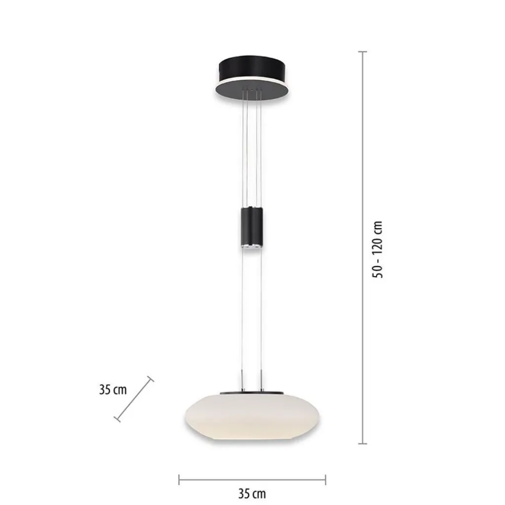 Straluma Smart hanglamp mat zwart met opaal glazen kap> Hanglampen|Smart lampen