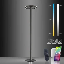 Straluma Smart vloerlamp verstelbare ring antraciet><noscript><img width=