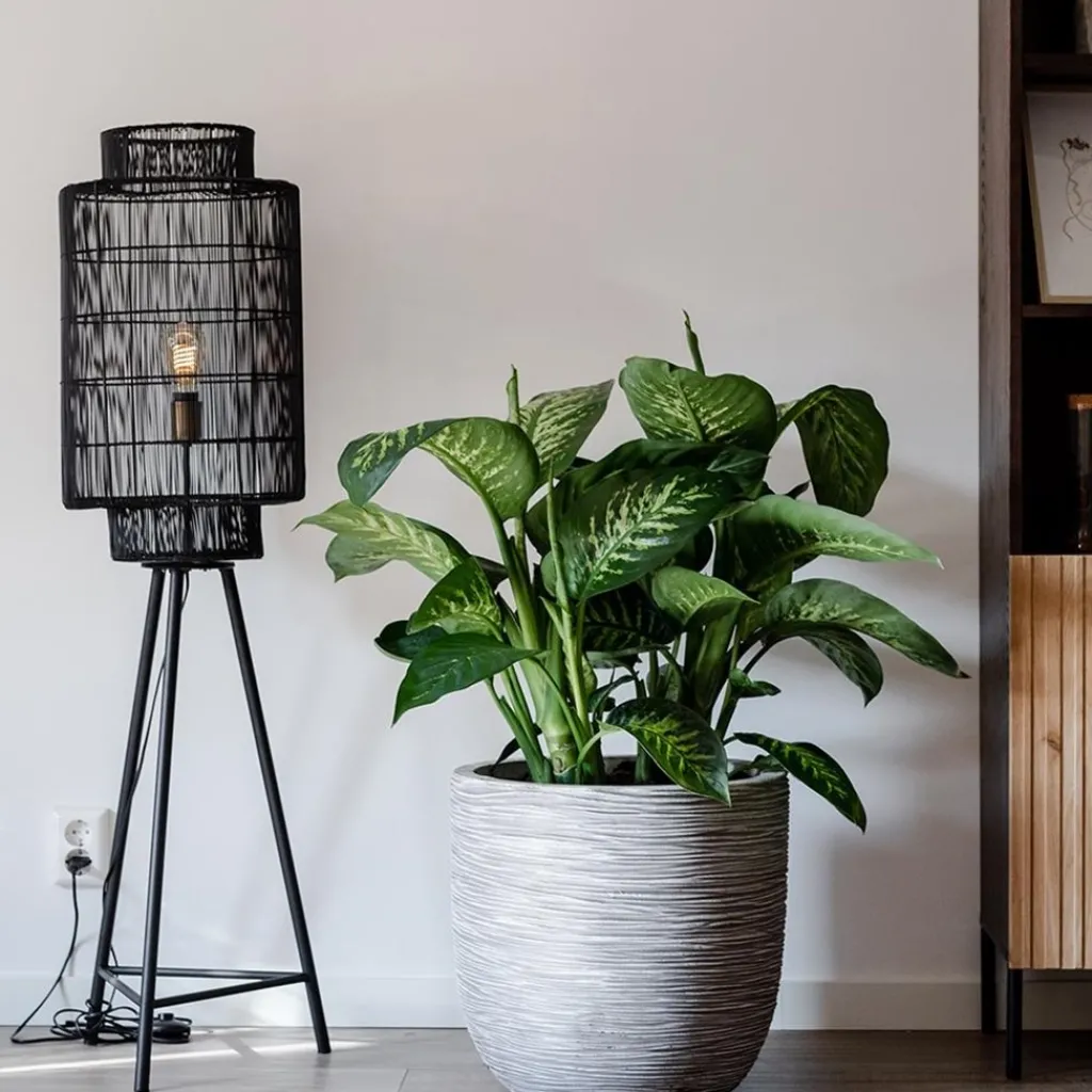 Straluma Trendy draad-vloerlamp Gruaro zwart> Draadlampen|Light and Living